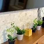 דירה Old Town Diaries סראייבו