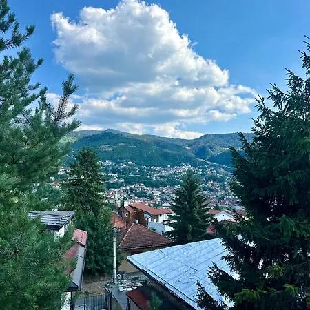 Old Town Diaries